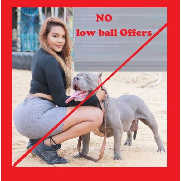 2000 Arkansas OM Odyssey of The Mind OM CIA Creativity In Arkansas OOTM- Pin - Picture 3 of 3